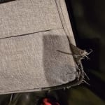 BEWARE of this GUITAR CENTER EXCLUSIVE