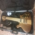 rickenbacker 650 not a perfect fit