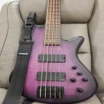 This bass speaks for itself maintaining a rock sturdy setup