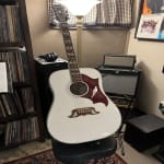 Great Looking Guitar but Needed Extra Setup