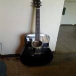 I would recommend to everybody