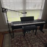 Perfect for My Home Musical Needs