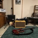 Great small amp with a big sound!