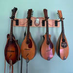 Very much worth the money.