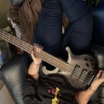 Great Sounding 12-string Bass
