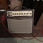 I would buy this Acoustic A20 amp again.