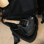 Good gig bag!