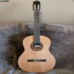 This guitar worth every penny!