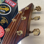 The best all around acoustic stings