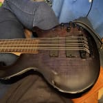 Great Sounding 12-string Bass