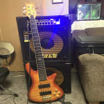 Only strings I use on a fretted bass