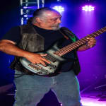 I would definitely buy again if needed