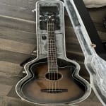 Great acoustic bass