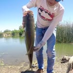 I wouldn't recommend them at retail cost.