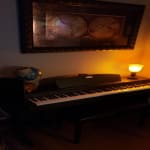 Decent budget piano; great for practice!