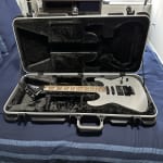 Great guitar and amazing tones!