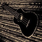 Seems to be the best sturdy hardcase for the Uke for the $$.