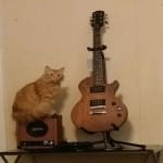 Great Look, Great Sound