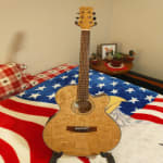 My FIRST Mitchell Guitar!