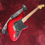 Makes my Stratocaster look like a million bucks!