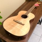 Great Guitar