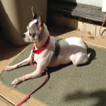 Good Beginner Book For Guitar Learner