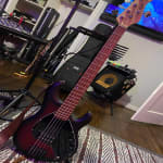 I love these basses. All tone!