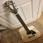 Sleeper budget friendly guitar