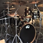 DW Collectors Series Exotic Ziricote