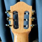 Beautiful guitar, rich sounds, nicely setup out of the box!