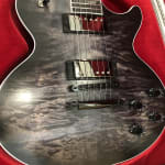 Beautifully appointed Les Paul