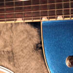 Got it for my Gretsch G5420t