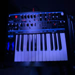 This purchase grew on me