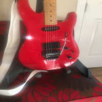 JUAT WHAT MY 1988 PEAVEY TRACER NEEDED