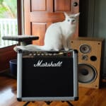 I finally got the sound I've always wanted