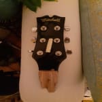 AVOID BUYING A MITCHELL GUITAR AT ALL COSTS!