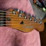 I've been looking at Acoustasonics since they first came out