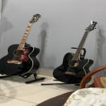 Incredible Guitar 4 the price