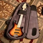 This isn't just a gig bag.....