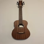 Excellent Mini-Bass.  Great sound and great volume.