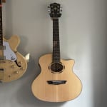 Great sound. Easy to play. I'd buy it again in a heartbeat.