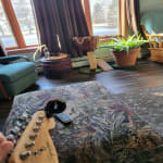 Yes I would buy again