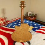 My FIRST Mitchell Guitar!