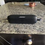 Bose Flex