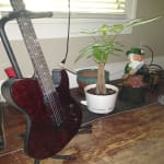 !!!!!!!  I CANT BELIEVE I OWN THIS GUITAR  !!!!!!