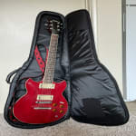 This gig bag is great for what I bought it for