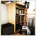 Most beautiful and best sounding Bass Guitar