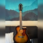 Great Entry Into 12 String Guitars