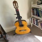 Excellent FIRST guitar