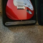 This solid body case fits the bill nicely for my needs.